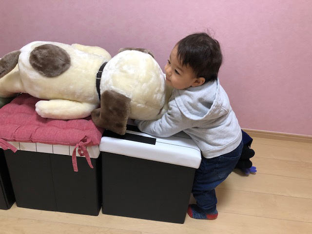 レッスン前,お気に入りのぬいぐるみにご挨拶!可愛い天使さん達です❤